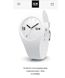 ICE WATCH | (アナログ腕時計)