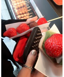 Christian Louboutin | コインケース