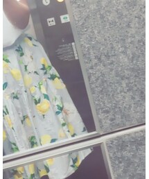 Chesty | スカート