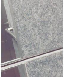 Chesty | スカート