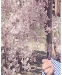 ZARA | シャツ/ブラウス