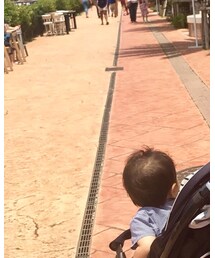 rosy monster | ワンピース