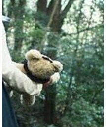 BABY,THE STARS SHINE BRIGHT | バックパック/リュック