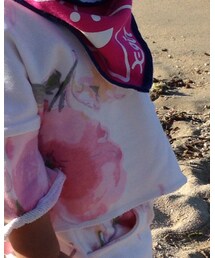 Korea | セットアップ