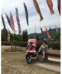 鯉のぼり | その他