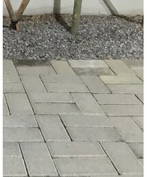 Yeezy | スニーカー