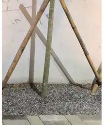 NIKE | チノパンツ