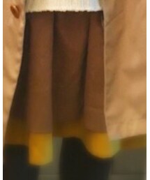 Ray BEAMS | スカート