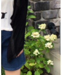 Antgauge | その他パンツ