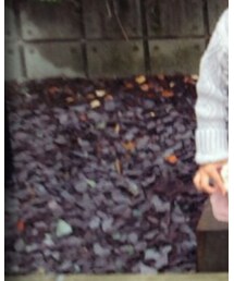 F.O.KIDS | スカート