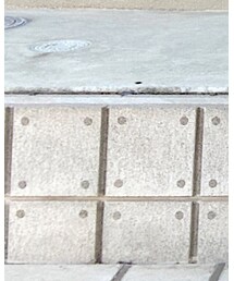 Antgauge | チノパンツ