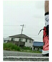 cocolo | ソックス/靴下