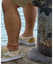 VANS | スリッポン