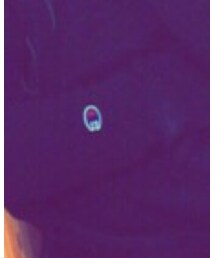 Champion | スウェット