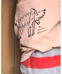 THE ANIMAL OBSERVATORY | Tシャツ/カットソー