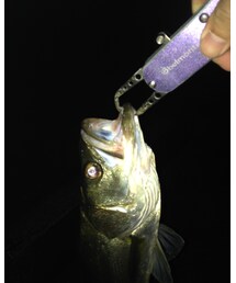 何度でも出会いたい。 | その他