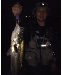 ウォー | その他