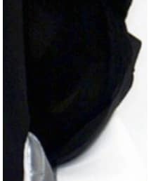 Inpaichthys kerri | その他パンツ