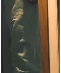 Yeezy | パンツ
