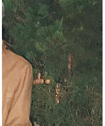 COMME des GARCONS | ジャケット/アウター