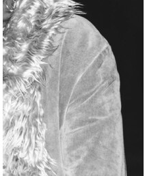 DOLCE&GABBANA | ダウンジャケット/コート