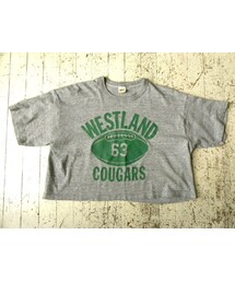 ショート丈　ビンテージＴシャツ(Tシャツ/カットソー)