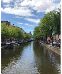 AMSTERDAM | その他