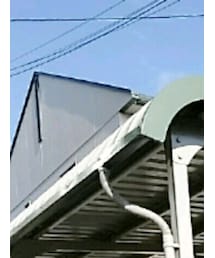 UNIQLO | トップス