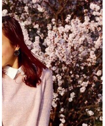 z | カーディガン/ボレロ