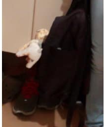 Kanken | バックパック/リュック