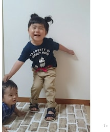 今日の乱入 | その他