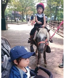 🐴 | その他