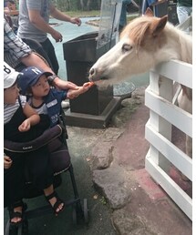 🍟🐴 | その他
