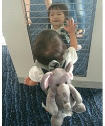 🐘 | その他