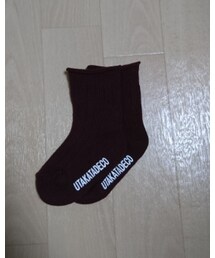 Birthday | ソックス/靴下