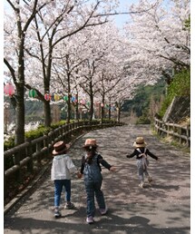 🌸🌸 | その他