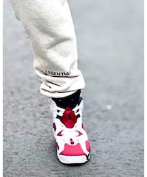 AIR JORDAN | Air Jordan 6 Carmine(スニーカー)