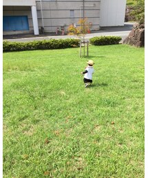 うろうろ | その他