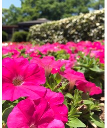 この時撮った写真 | その他