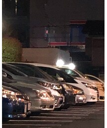PALACE | パーカー