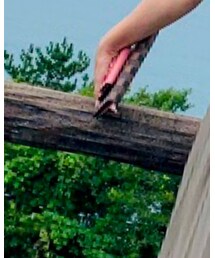 LOUIS VUITTON | 財布