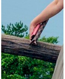 MIUMIU | キーケース/キーアクセサリー