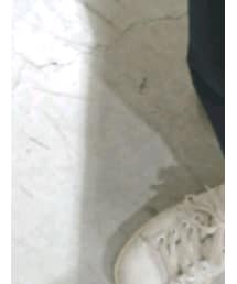 adidas Originals | スニーカー