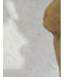 ButlerVenerSails | トートバッグ