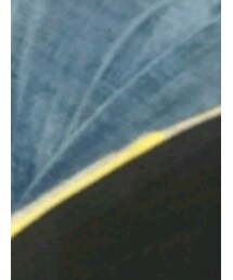 UNIQLO | デニムパンツ