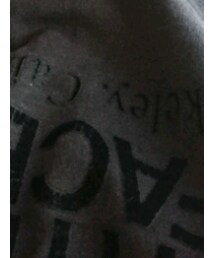 THE NORTH FACE PURPLE LABEL | トップス