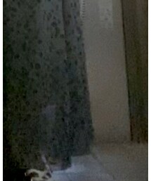 しまむら | スカート