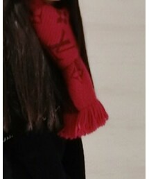 LOUIS VUITTON | マフラー