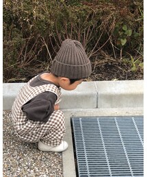 ここの網にずっと石を入れる遊び | その他