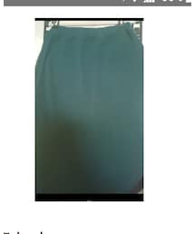 10s | グリーンペンシルスカート(スカート)